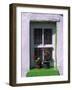 Green Window in Traditional House, Cashel, County Tipperary, Munster, Republic of Ireland, Europe-Patrick Dieudonne-Framed Photographic Print