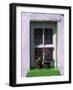 Green Window in Traditional House, Cashel, County Tipperary, Munster, Republic of Ireland, Europe-Patrick Dieudonne-Framed Photographic Print