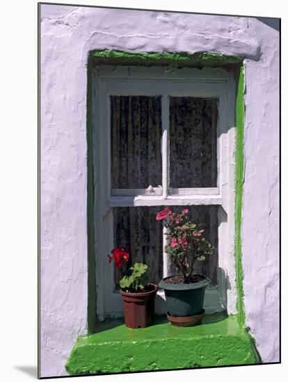 Green Window in Traditional House, Cashel, County Tipperary, Munster, Republic of Ireland, Europe-Patrick Dieudonne-Mounted Photographic Print