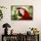 Green-Winged Macaw (Captive), South America, Excl-Lynn M^ Stone-Framed Stretched Canvas displayed on a wall