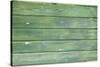 Green Wood Texture-rtsubin-Stretched Canvas