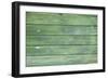 Green Wood Texture-rtsubin-Framed Photographic Print