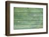 Green Wood Texture-rtsubin-Framed Photographic Print