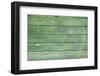 Green Wood Texture-rtsubin-Framed Photographic Print