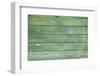 Green Wood Texture-rtsubin-Framed Photographic Print