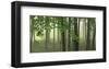 Green Woods-Orah Moore-Framed Art Print