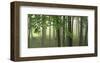 Green Woods-Orah Moore-Framed Art Print