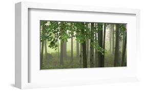 Green Woods-Orah Moore-Framed Art Print