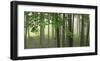 Green Woods-Orah Moore-Framed Art Print