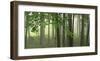 Green Woods-Orah Moore-Framed Art Print
