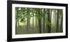 Green Woods-Orah Moore-Framed Art Print