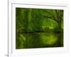 Green World-Irene Suchocki-Framed Photographic Print