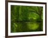 Green World-Irene Suchocki-Framed Photographic Print