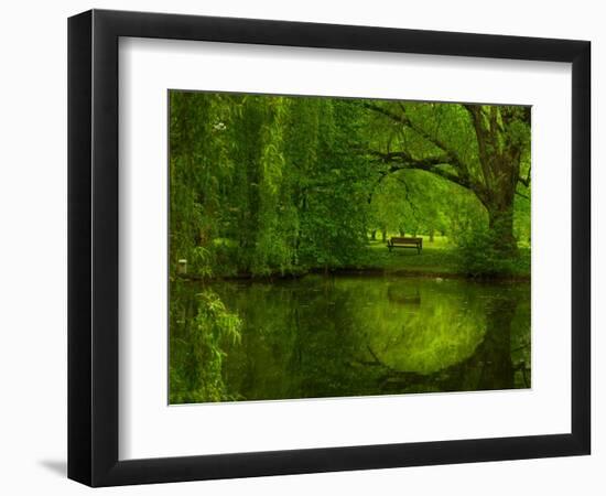 Green World-Irene Suchocki-Framed Photographic Print