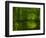 Green World-Irene Suchocki-Framed Photographic Print