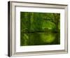 'Green World' Photographic Print - Irene Suchocki | AllPosters.com