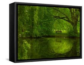 Green World-Irene Suchocki-Framed Stretched Canvas