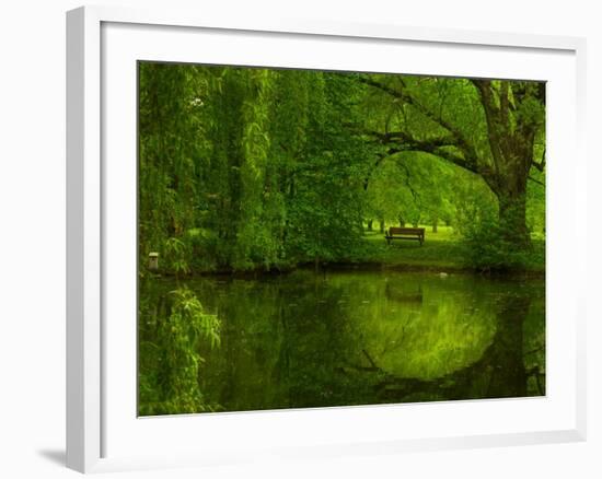 Green World-Irene Suchocki-Framed Photographic Print