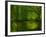 Green World-Irene Suchocki-Framed Photographic Print