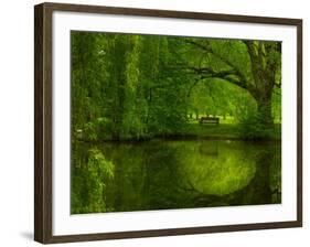 Green World-Irene Suchocki-Framed Photographic Print