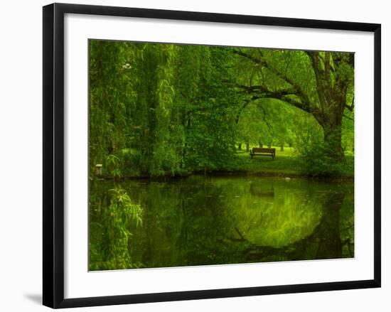 Green World-Irene Suchocki-Framed Photographic Print