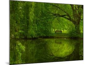 Green World-Irene Suchocki-Mounted Photographic Print