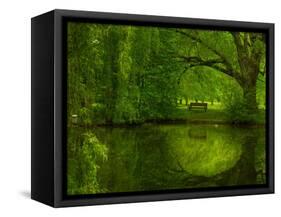 Green World-Irene Suchocki-Framed Stretched Canvas