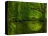 Green World-Irene Suchocki-Stretched Canvas
