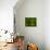 Green World-Irene Suchocki-Photographic Print displayed on a wall