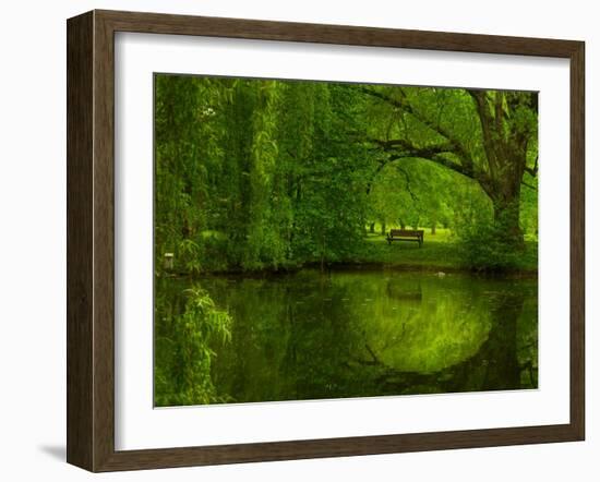 Green World-Irene Suchocki-Framed Photographic Print