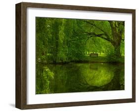 Green World-Irene Suchocki-Framed Photographic Print