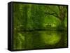 Green World-Irene Suchocki-Framed Stretched Canvas