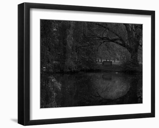 Green World-Irene Suchocki-Framed Photographic Print