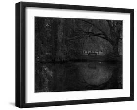 Green World-Irene Suchocki-Framed Photographic Print