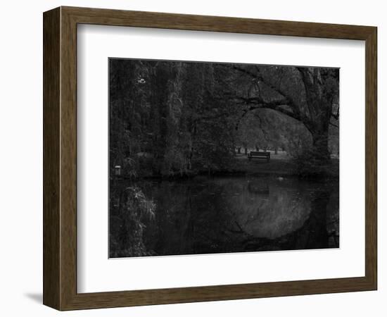 Green World-Irene Suchocki-Framed Photographic Print