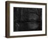 Green World-Irene Suchocki-Framed Photographic Print