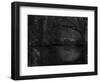 Green World-Irene Suchocki-Framed Photographic Print