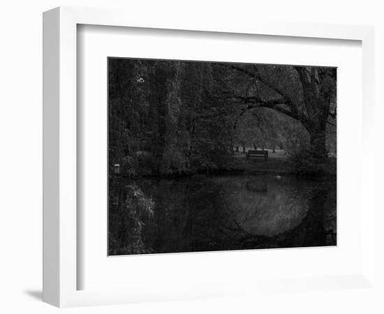 Green World-Irene Suchocki-Framed Photographic Print