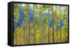 Green Yellow Aspen Trees-duallogic-Framed Stretched Canvas