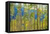 Green Yellow Aspen Trees-duallogic-Framed Stretched Canvas