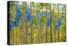 Green Yellow Aspen Trees-duallogic-Stretched Canvas