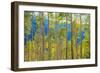 Green Yellow Aspen Trees-duallogic-Framed Photographic Print