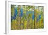 Green Yellow Aspen Trees-duallogic-Framed Photographic Print