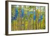 Green Yellow Aspen Trees-duallogic-Framed Photographic Print