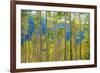 Green Yellow Aspen Trees-duallogic-Framed Photographic Print