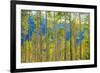 Green Yellow Aspen Trees-duallogic-Framed Photographic Print