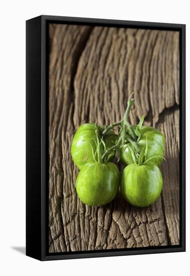 Green Zebra Tomatoes-Thomas Klee-Framed Stretched Canvas