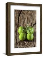 Green Zebra Tomatoes-Thomas Klee-Framed Photographic Print