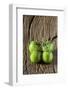 Green Zebra Tomatoes-Thomas Klee-Framed Photographic Print