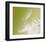 Green-null-Framed Art Print